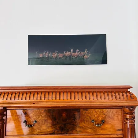 Ferienhaus Schott Prichsenstadt Extérieur photo